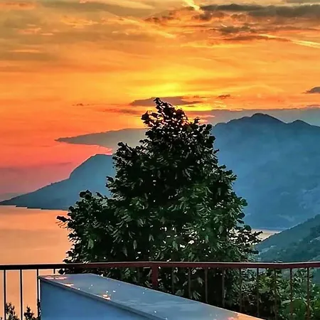 Sedra